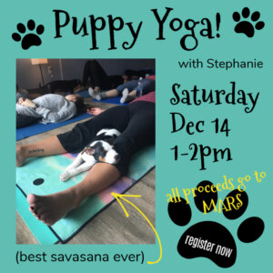 Puppy yoga social media tile promoting Dec. 14 event.